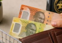 India Polymer Notes Approved for ₹10 and ₹20 Field Trials India polymer notes approved for RBI field trials in ₹10 and ₹20 denominations