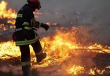 Massive Europe Wildfires Force 300,000 to Flee as France and Spain Battle Infernos Firefighter in protective gear standing near intense wildfire flames in a forest during European heatwave.