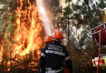 Why Europe’s Wildfires Keep Getting Bigger and Harder to Stop Europe wildfires climate change Spain France 2026 explained